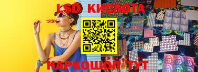 jwh Кингисепп