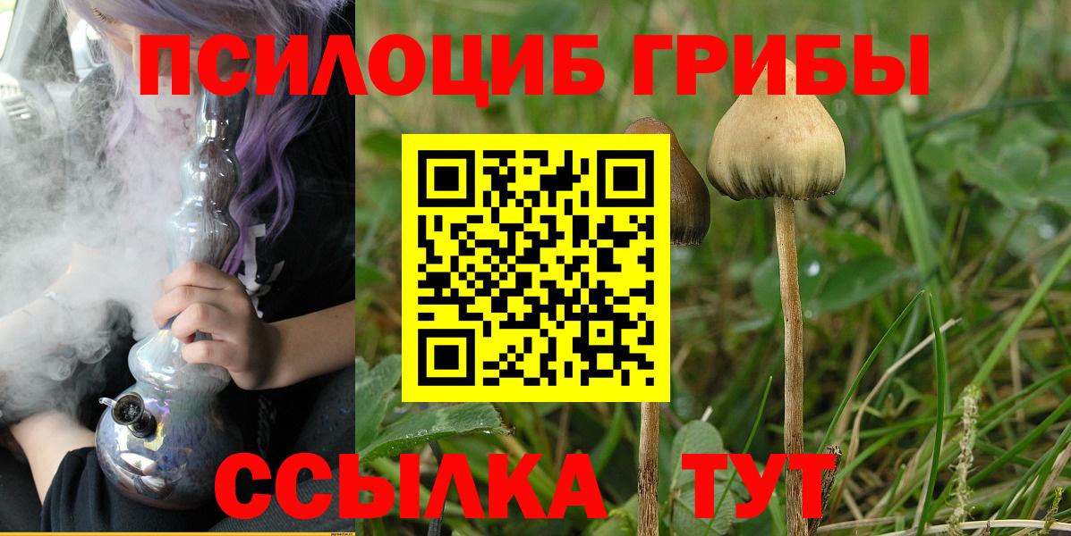 Кыштым  Псилоцибиновые грибы мухоморы  Вход с VPN 